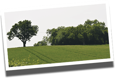 The site of Lewis’s Farm Shop in Wrexham